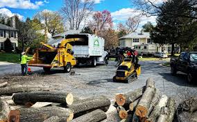  Smithfield, UT Tree Care Services Pros