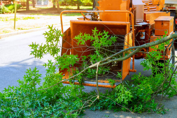 Best Lawn Grading and Leveling  in Smithfield, UT