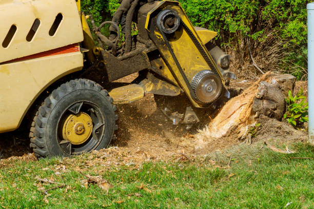 Best Emergency Tree Removal  in Smithfield, UT