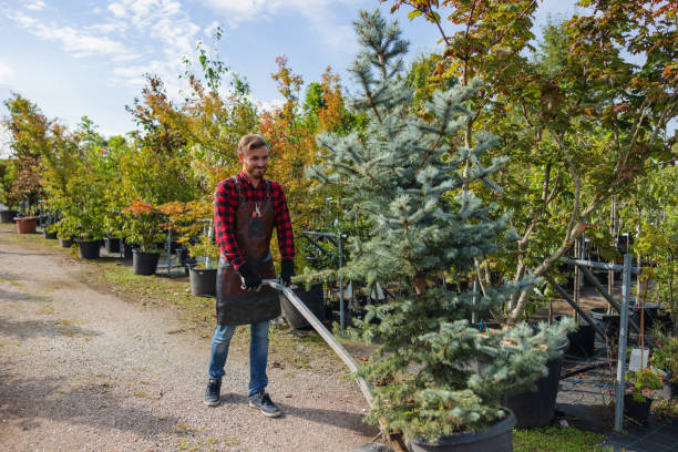 Best Tree and Shrub Care  in Smithfield, UT